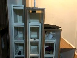 Sophia Road (D9), Condominium #577814561